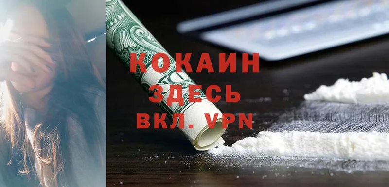 цена наркотик  Козьмодемьянск  Cocaine Эквадор 